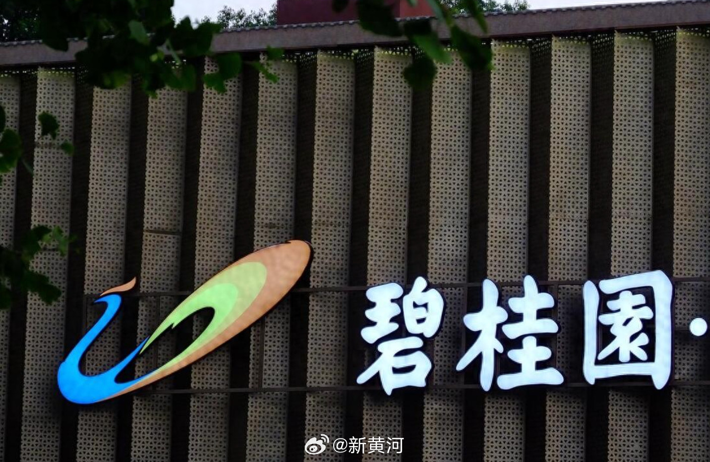 【#碧桂园回应召回离职员工传闻#：仅针对少量特定岗位，今年定位从保交房转向正常