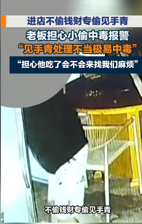 “老板都吓坏了！”8月23日报道，云南昆明，一家餐馆半夜遭了贼，小偷潜入店中，出