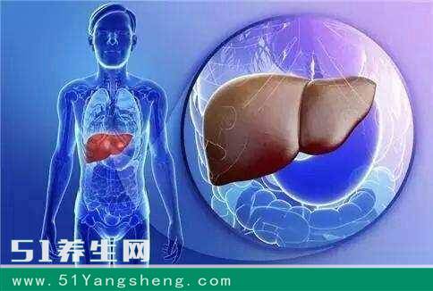 它号称肝脏的“解毒王”, 每天泡水喝一点, 预防肝炎远离疾病