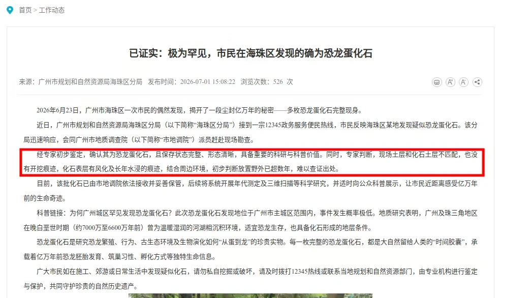 已证实：极为罕见的确为恐龙蛋化石！