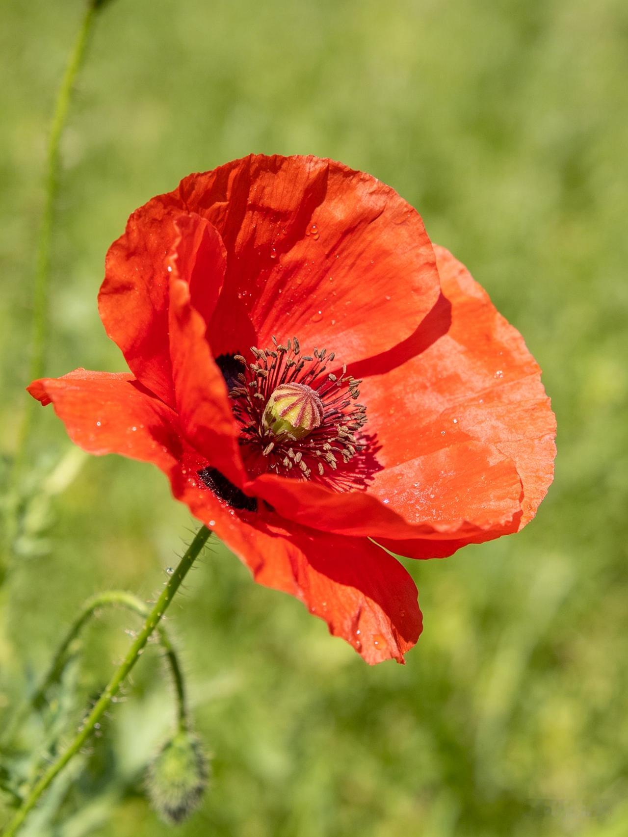 据陕西气象，预计未来4-14天：受西风槽和偏南气流影响，5月1-2日、4日及后期