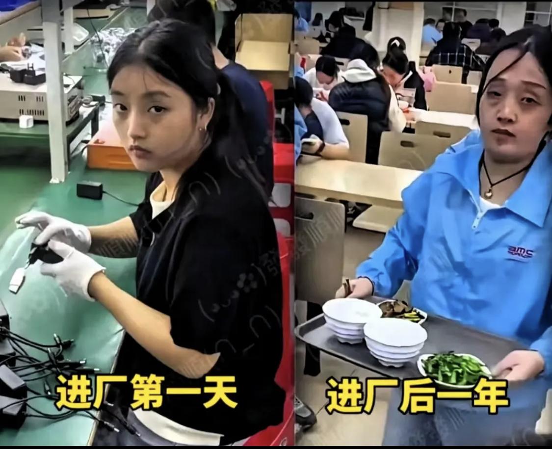 进厂这一年是经历了啥？[抠鼻]
