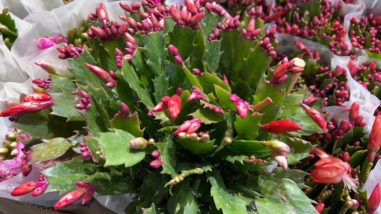 现在的父母有女儿的家长期望女儿找对像要高情商的、愿意付出、懂爱的男人，可是我发现