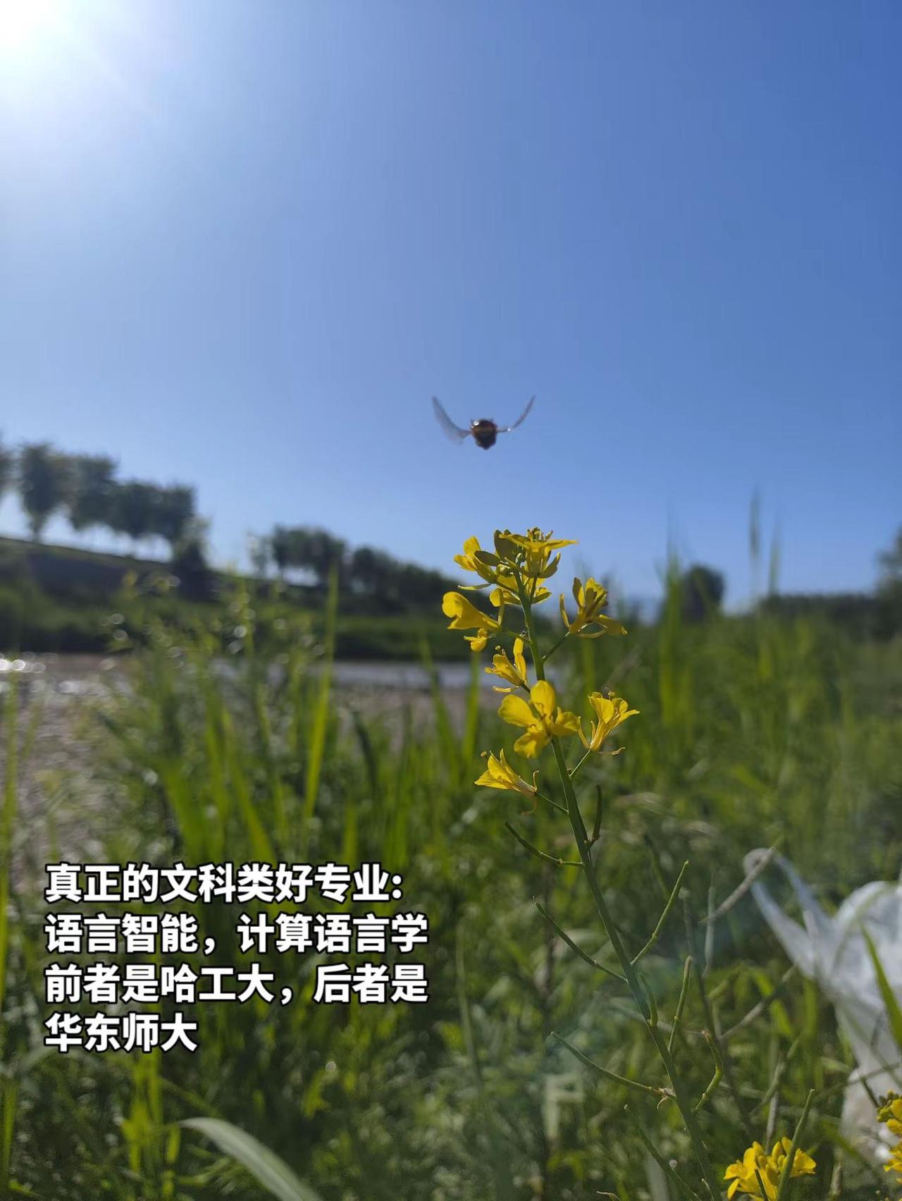 如果是外国语大学开的这两个专业就算了吧，人工智能这方面是搞不明白的。