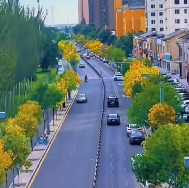 北京坐高铁1小时48分就能到的地方，五一酒店居然没怎么涨价。你敢信？4月28