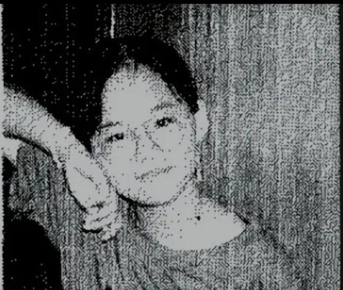 1993年，台北少女黄佩芬在一间花店躲雨后失踪。花店老板成了嫌疑人，但因证据不足
