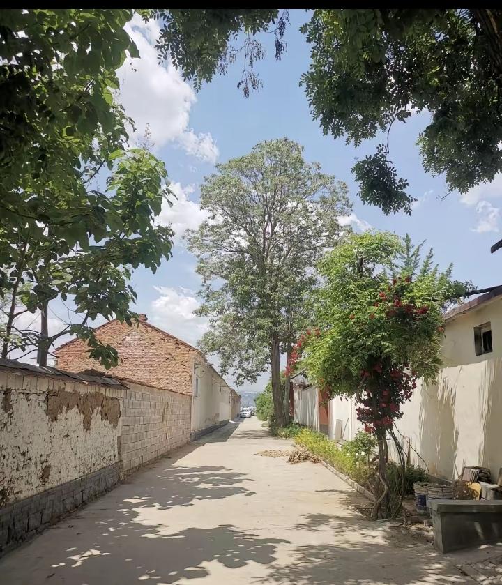 奉劝大家不要乱搞！我二姨，在妇幼医院妇科干了三十多年。前几天家庭聚会，有个表嫂