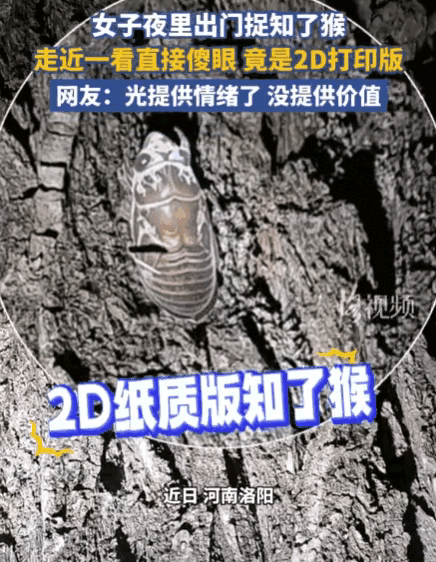 太损了！女子夜里出门捉知了猴，来到一片树林，拿手电筒一照，密密麻麻的全是知了猴，