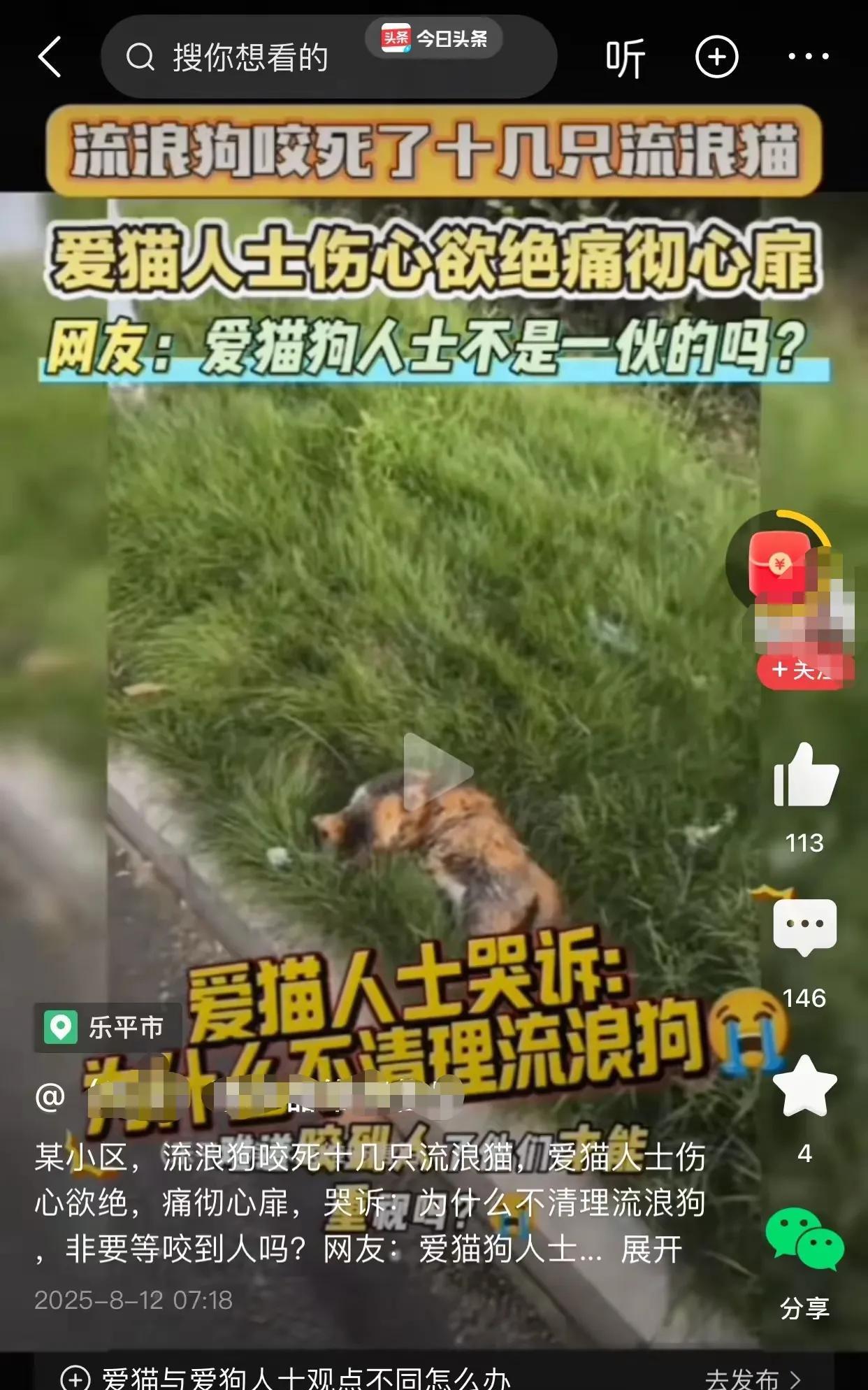 爱心人士哭诉，为什么不清理流浪狗。爱猫爱狗不是一伙的吗？怎么还起内讧了，搞分裂