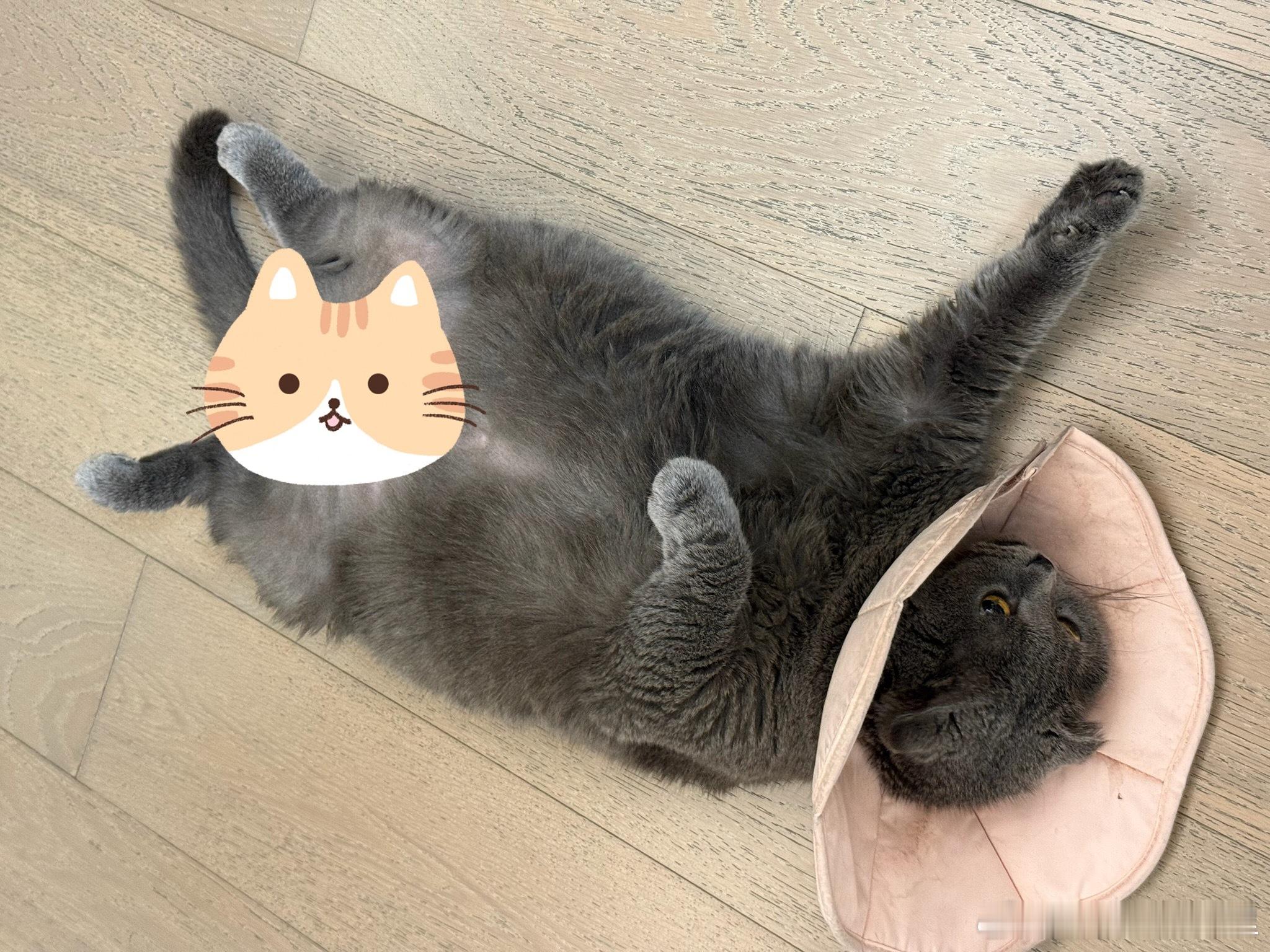 看把孩子热的​​​