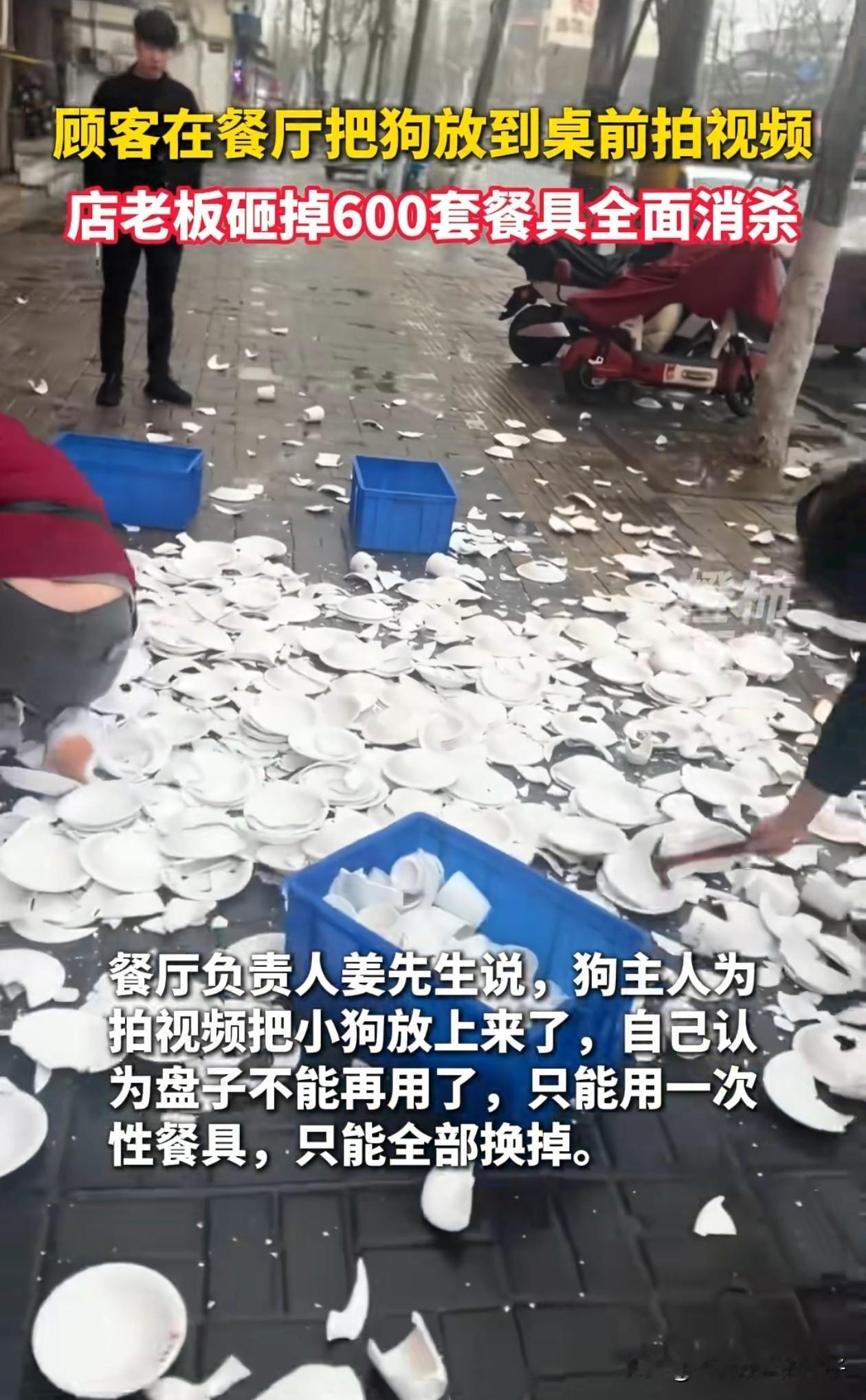 这老板真是个狠人！河南商丘，一顾客把狗带进餐厅拍视频，虽然狗没有接触到餐具，视频
