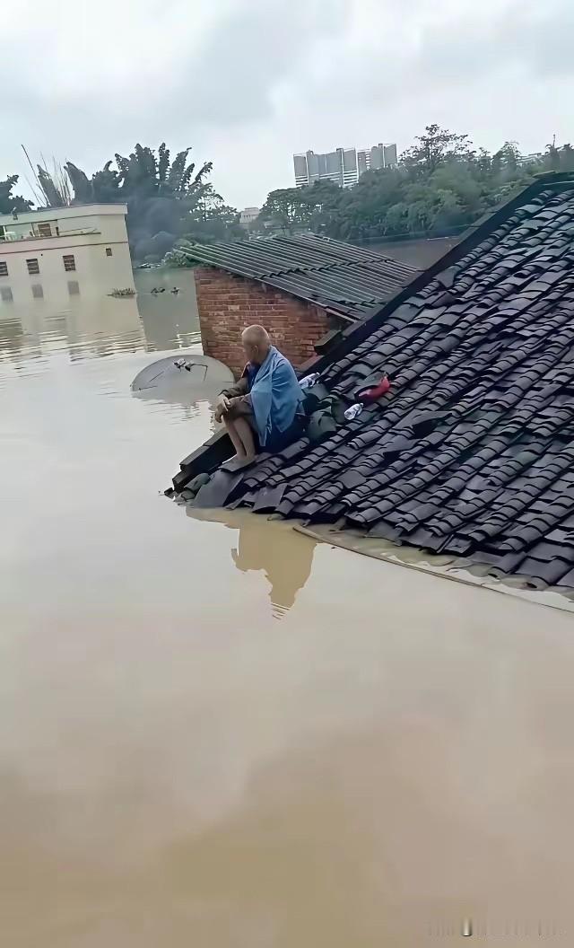 不怪大爷一脸无奈，换谁谁不是！