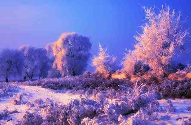 内蒙古·根河，在这里能领略冰雪的风采，一睹冬天的独特魅力。