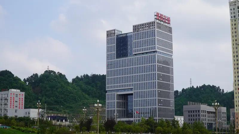 贵州省国资委实际控股/实控医药相关企业一、省级医药平台核心（省国资委→黔晟