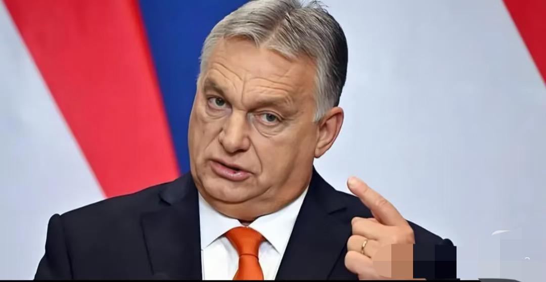 就这刚刚匈牙利宣布了！11月4日，匈牙利直接跟欧盟“杠上了”，宣布坚决不解除
