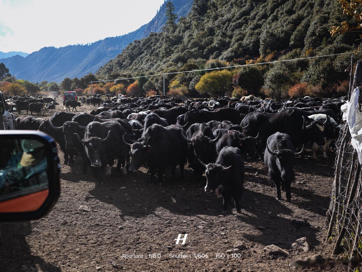 纵横一日，日照金山最后一刹那没有点亮。​​​