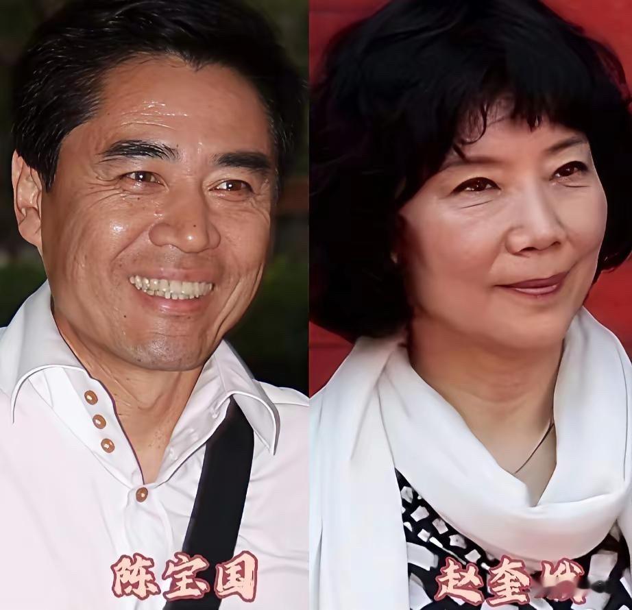 这7对明星夫妻结婚最长48年，最短也十几年，个个都是模范刘纯燕和王宁30多年