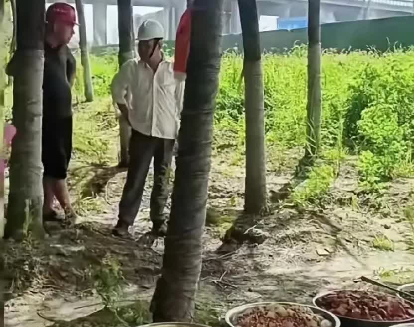 敢摆摊，直接掀你摊位某男子在工地外面的树林里摆摊卖快餐，做好了满满八大盆菜，