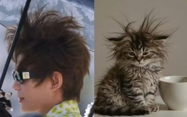 黄晓明是丁禹兮铁血猫塑没错我们丁禹兮就是猫猫的代表，如果你不信你就看这