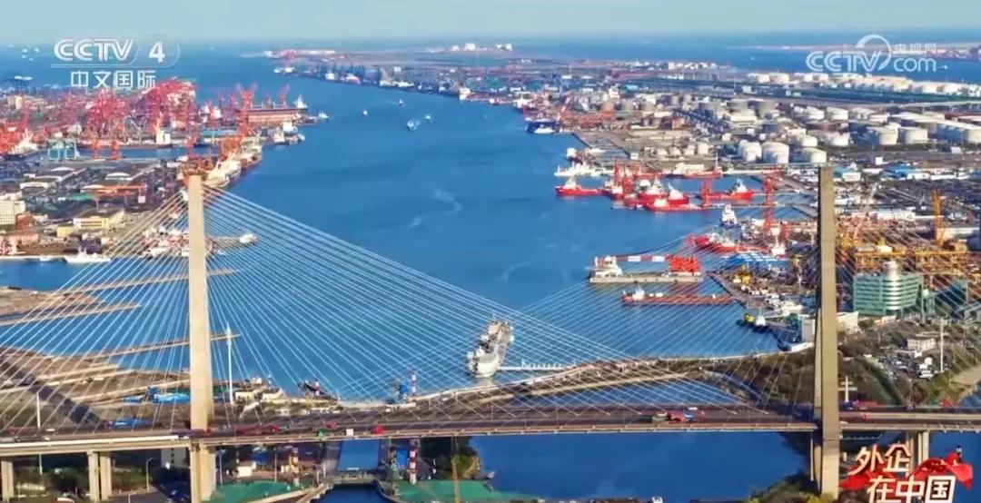 天津港不靠喊口号，靠船多、箱多、效率高。18天到欧洲，北极航道一开，老外都得重