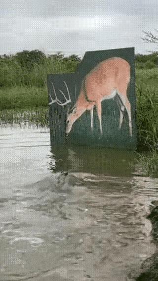 这是不是对保护羚羊有好处，多搞几次，真羚羊来了，鳄鱼也就不扑了。[笑着哭][笑着哭]