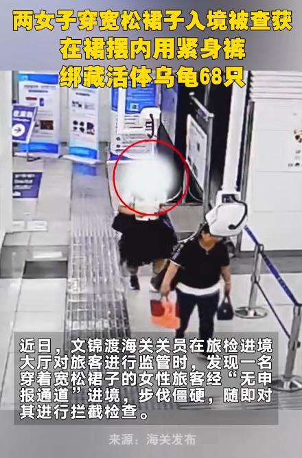 ·反华势力入侵？我国海关截查两名女子，掀开裙子一看，好家伙，大腿上密密麻麻缠满了