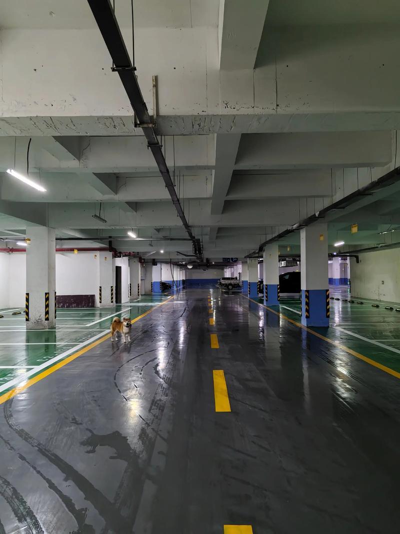 冬天一到，地下车库就热闹起来了。很多人选择带狗狗到这儿遛弯，一下雪更是如此。不