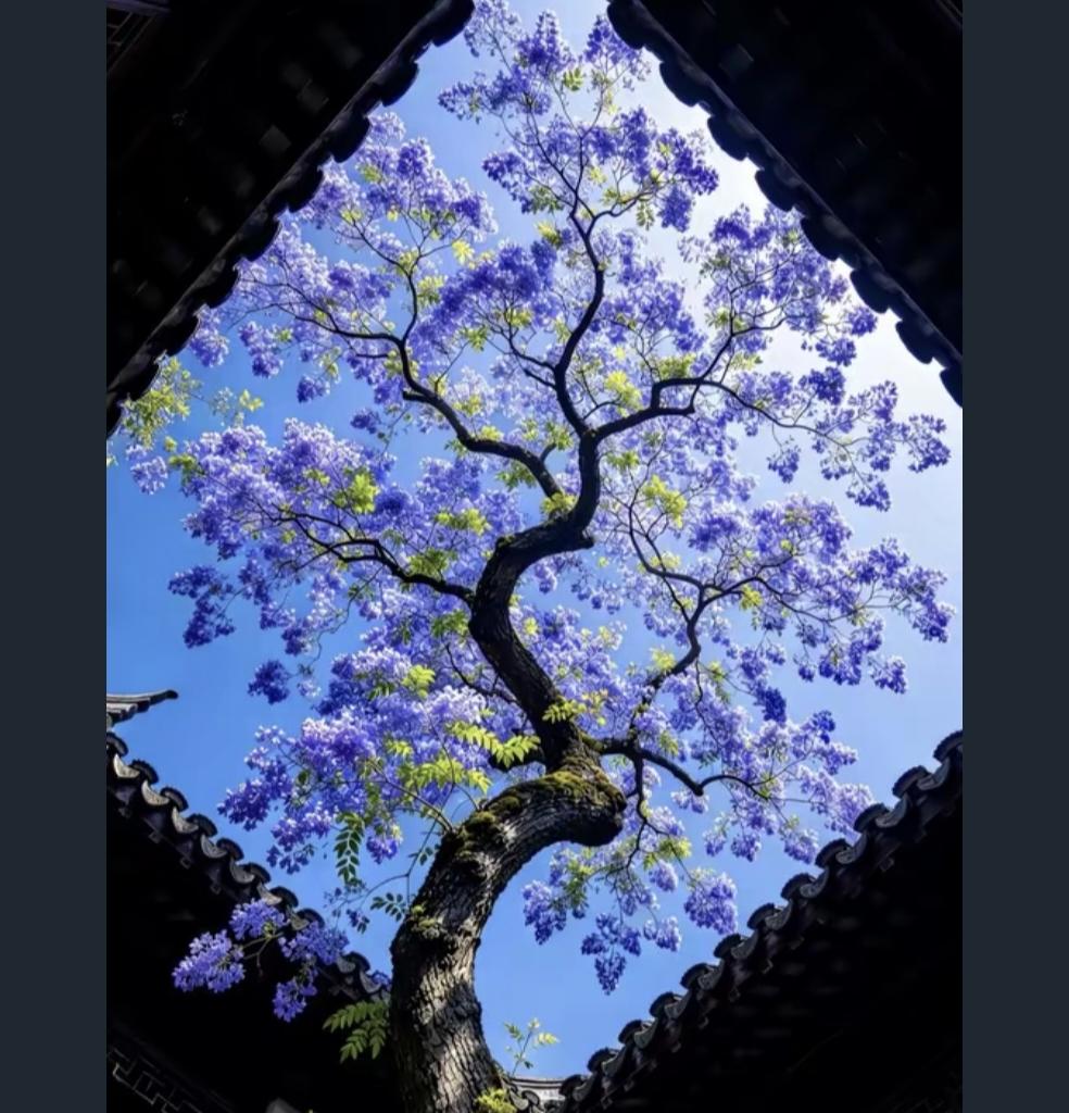 上个世纪日本经济泡沫破裂后的后果，主要是带来严重内卷——内需快速消失，社会从