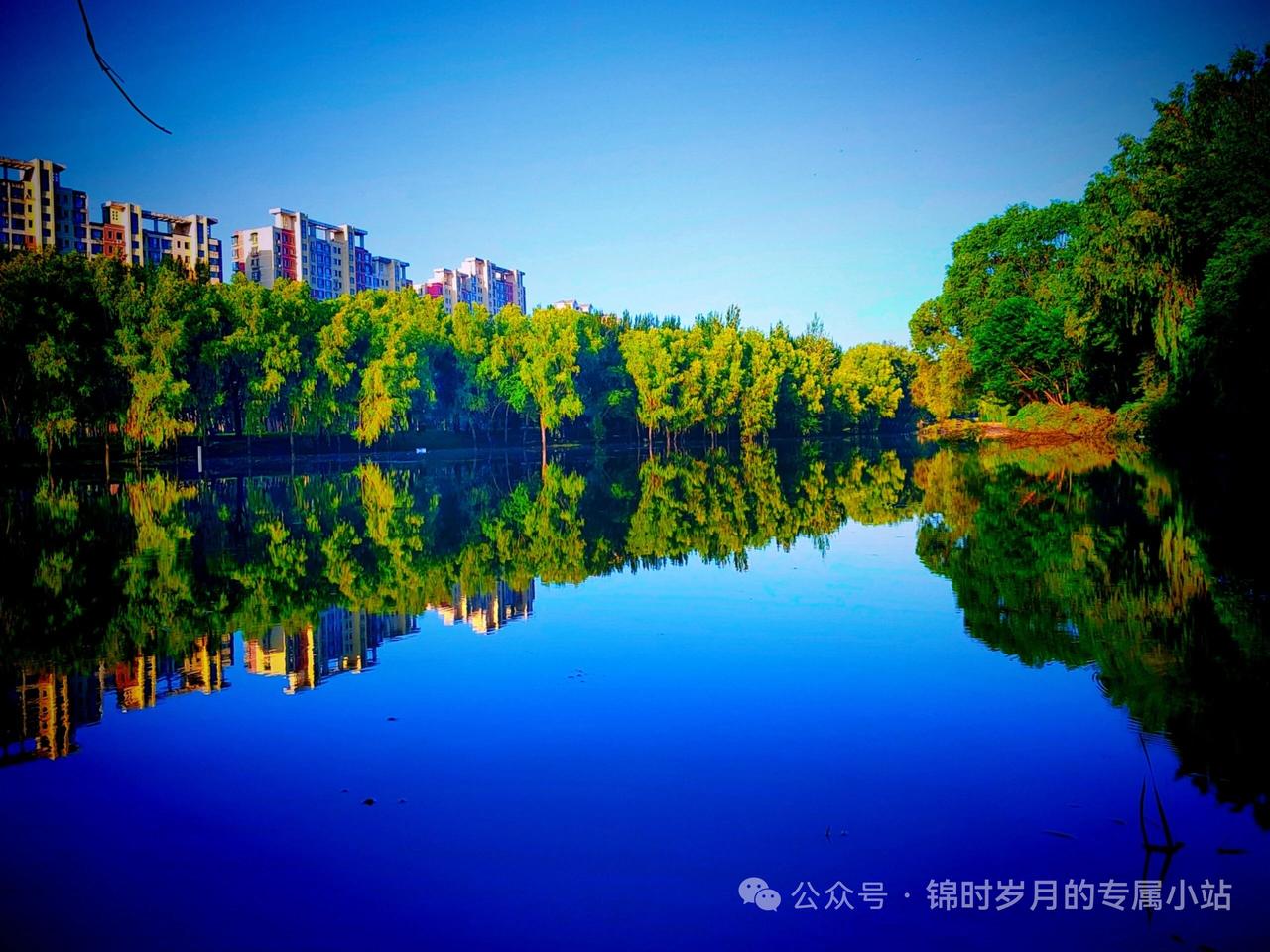 告诉你练太极入静的妙法子越想静，脑子越吵我以前练拳，一闭眼就想着“别想别