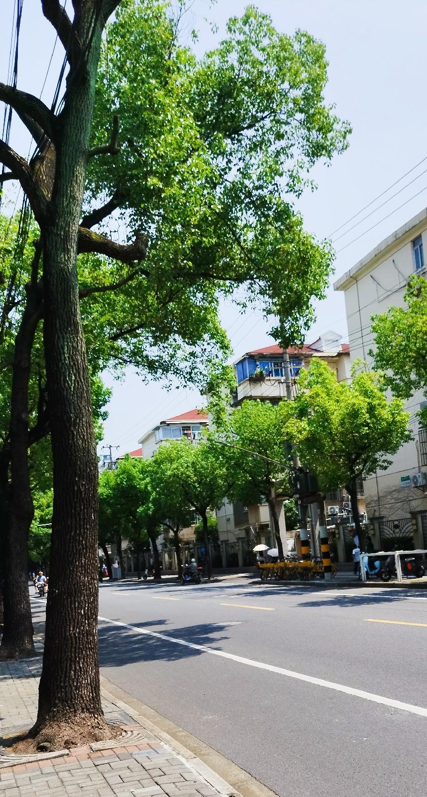 被治愈的癌症,为什么会再次复发?还是由病人自己决定的。你确诊了癌以后治疗过了。