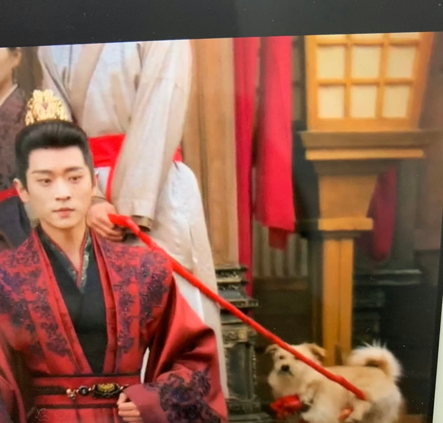 锦月如歌中的小狗：为我花生​​​