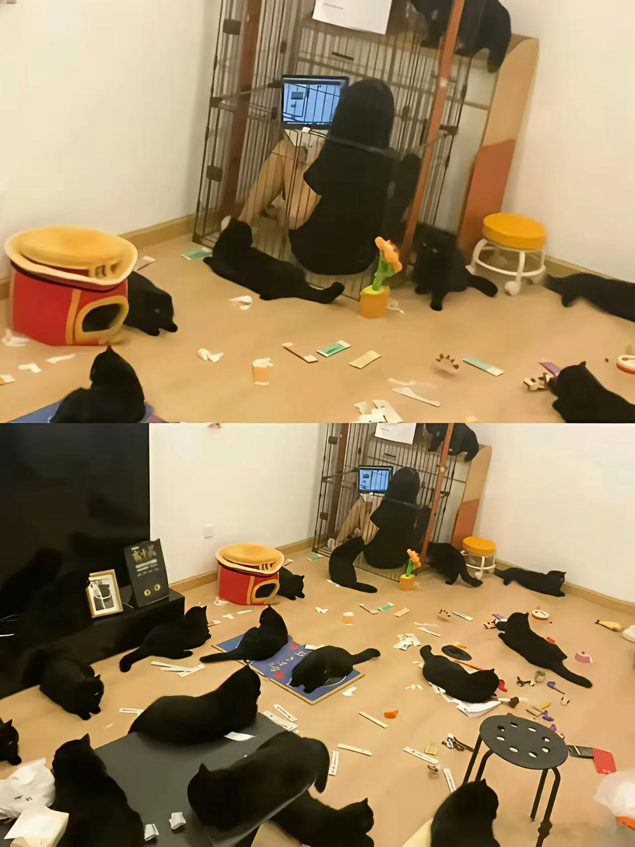 可笑，打不过我还躲不过吗？
