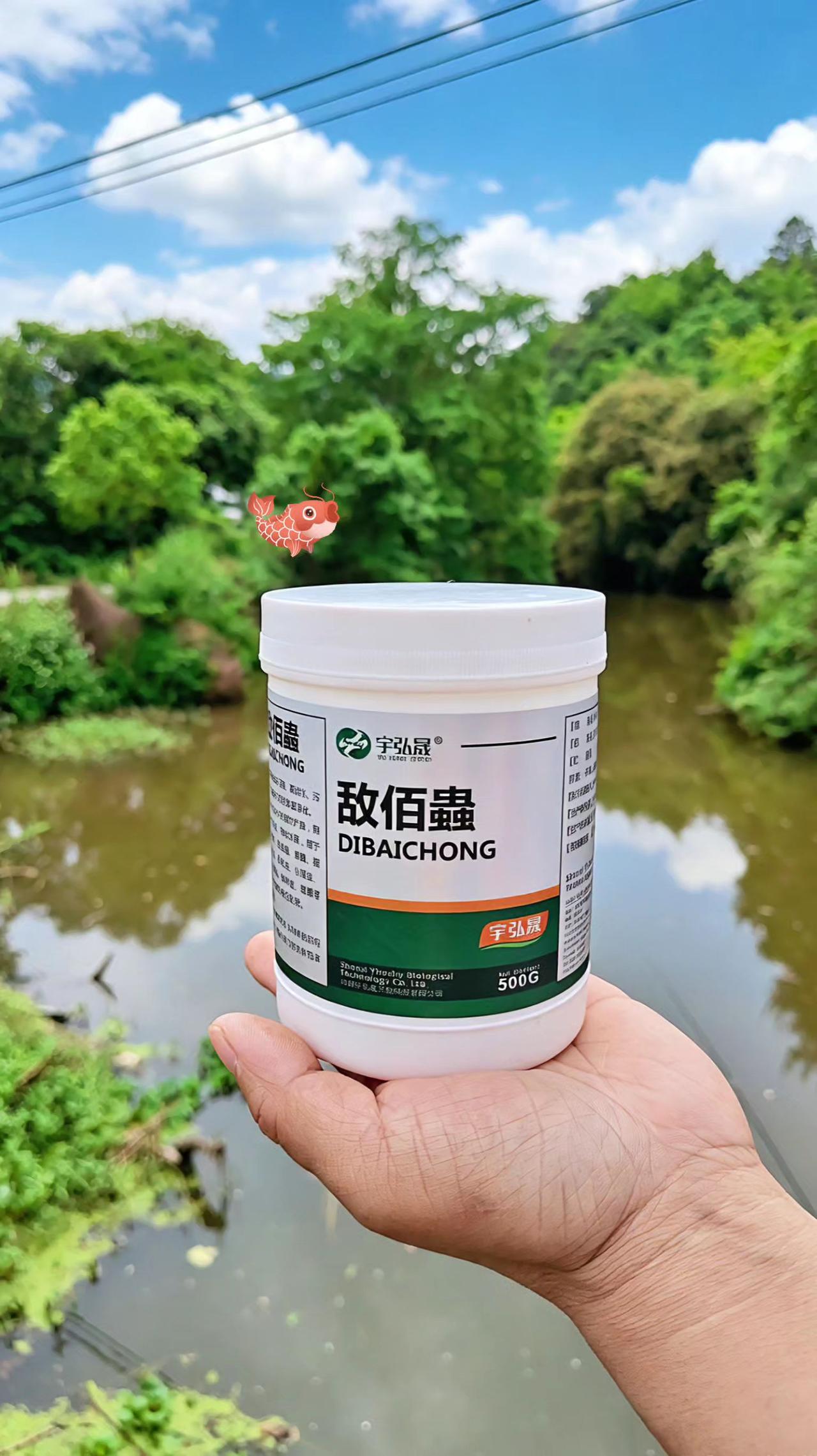 敌佰蟲鱼塘养殖鲢鱼鲤鱼草鱼