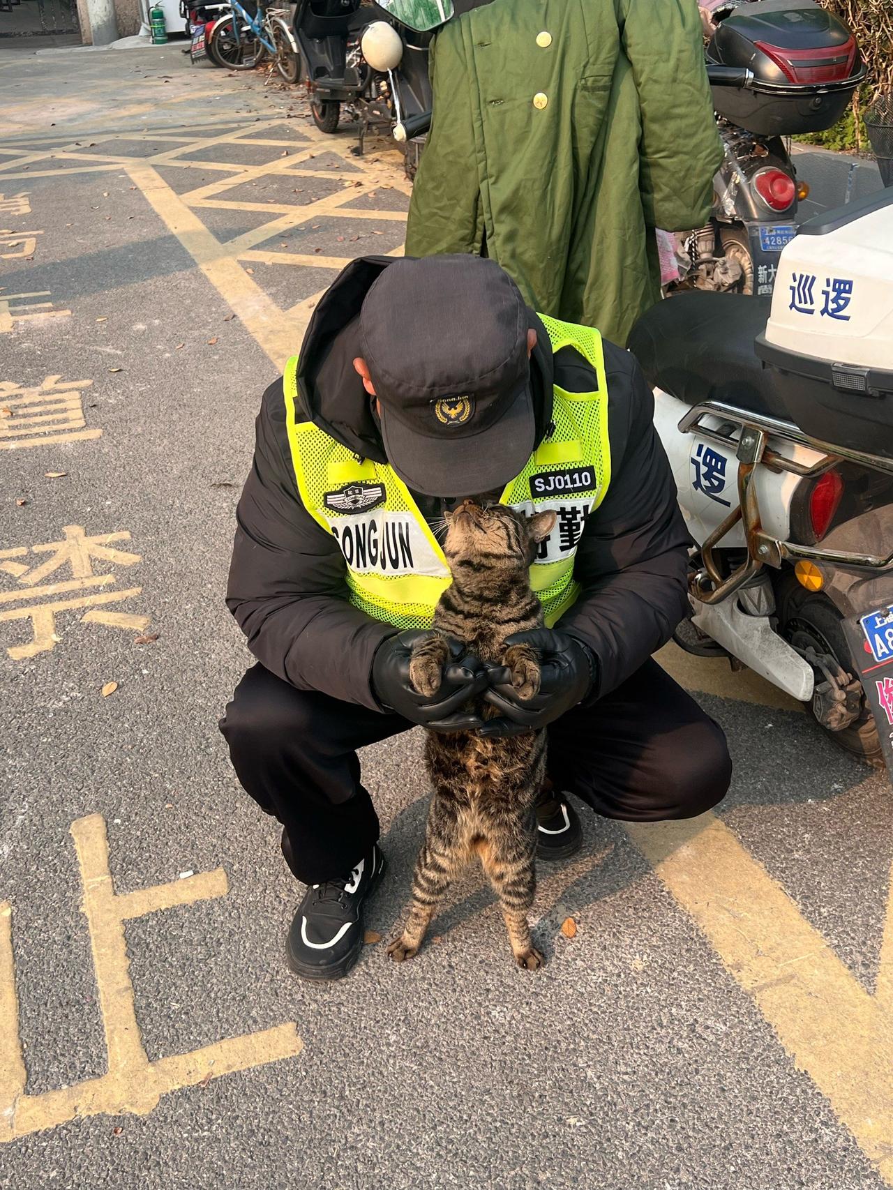昨天上班在门口看见公司保安抓到了一只有身孕的猫咪，我问保安，你这是准备把猫抓去哪