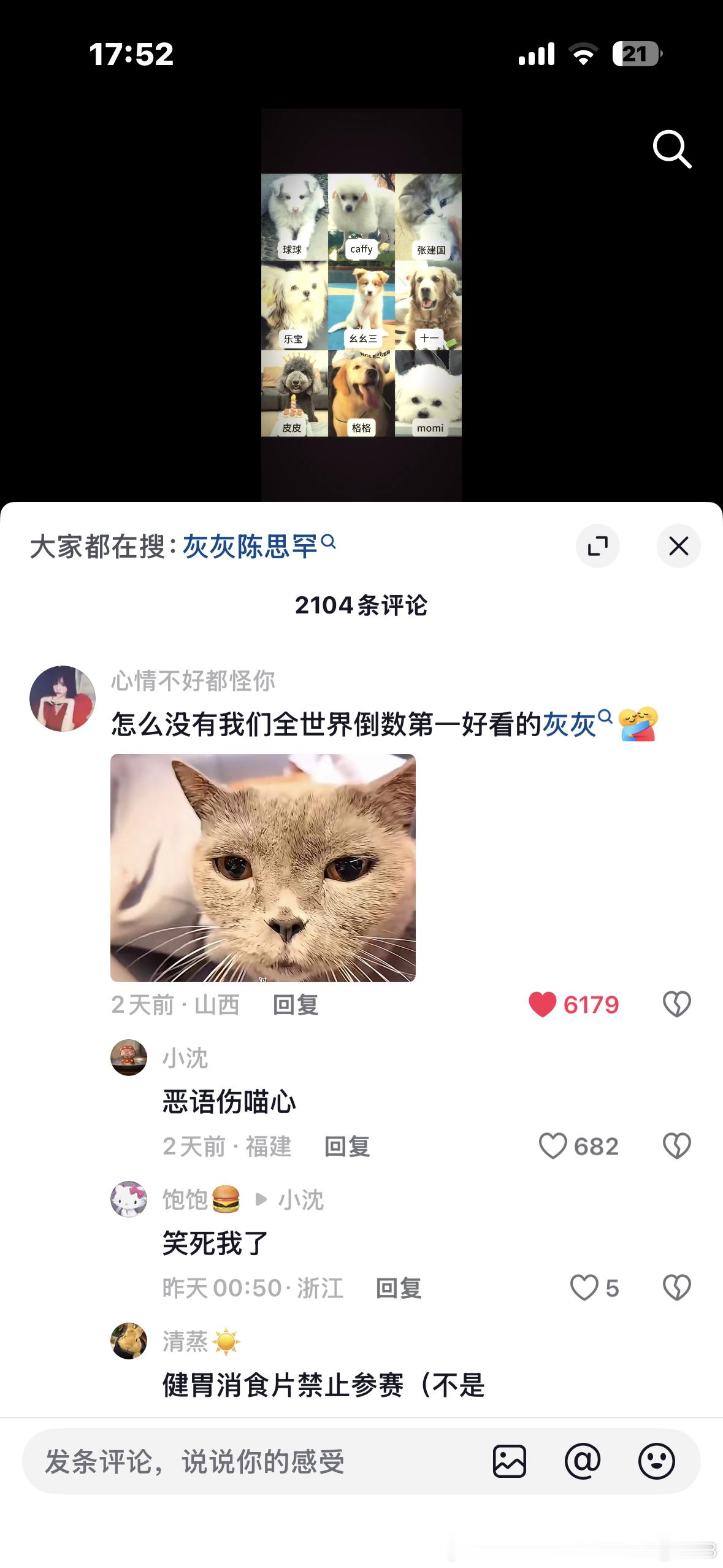 你们知道吗我认为爱上灰灰比认识灰灰更简单。灰灰现在需要一个出圈的机会争四宠一词条