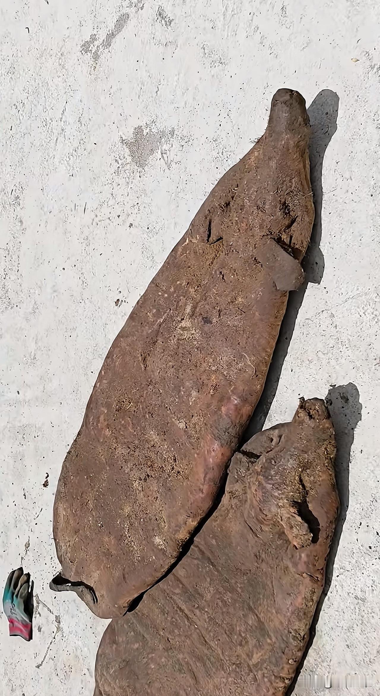 放了20多年的老腊肉谁吃过？谁想吃？云南腊肉