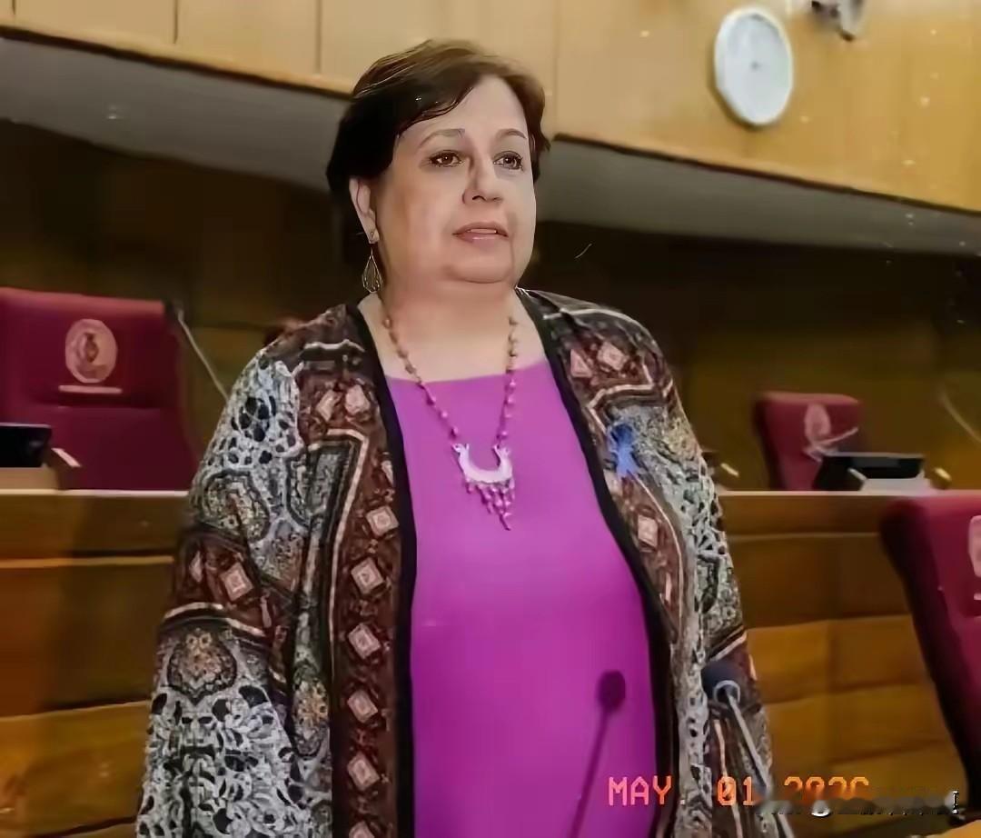 巴拉圭议员称：巴拉圭政府长期奉行亲台政策，导致巴拉圭无法同中国大陆进行正常的经贸