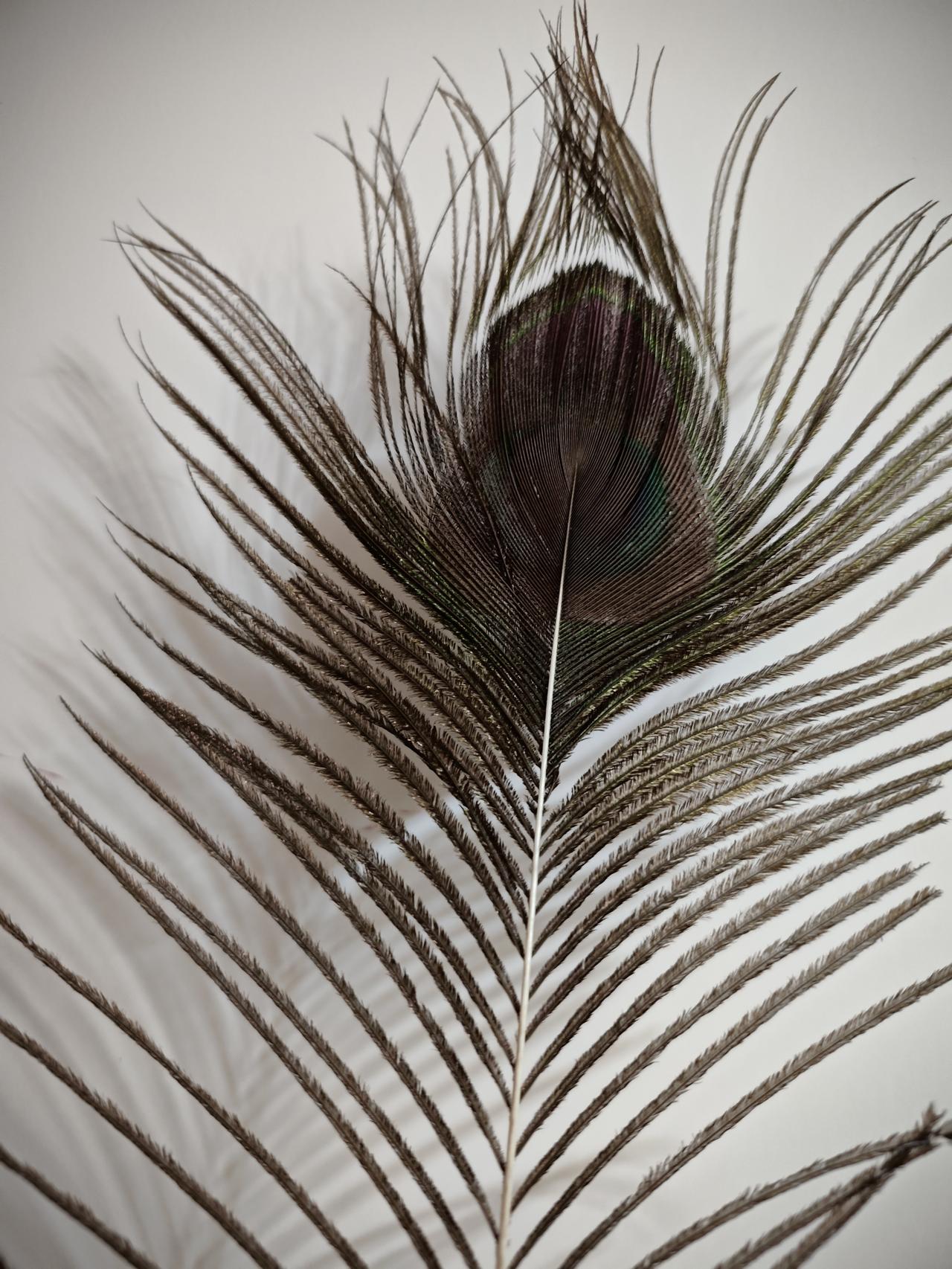 78岁的老爸打电话跟我叨叨他身体不如从前了，说前两天上屋顶上捅烟囱没以前那么利索