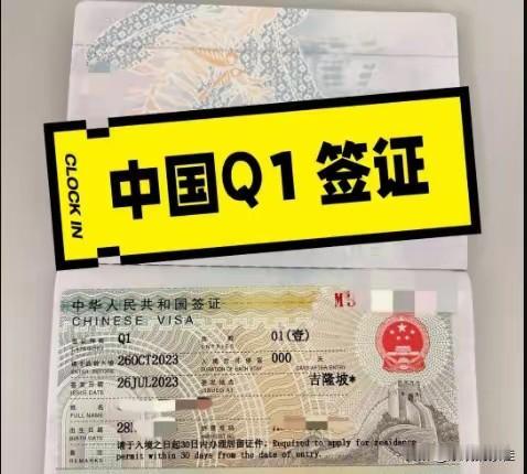 我预料到了印度人会找新出路，也预料到了中国会吸引人才，万万没想到是一张K签捅破了