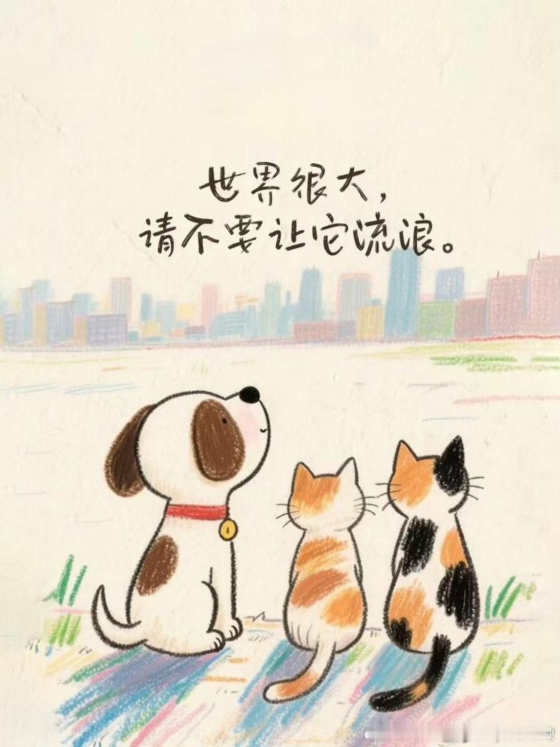 鸿星尔克店内收留流浪猫狗鸿星尔克官宣流浪猫狗守护计划和很多门店不一样，鸿星尔克选