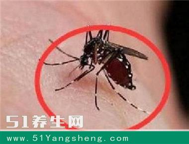 蚊子最怕这杯水, 放在房间里, 再也听不见蚊子叫!