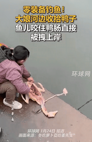 钓鱼佬的破防：道法自然胜装备真的会笑到钓鱼佬集体沉默😂大妈本来只是在河边处