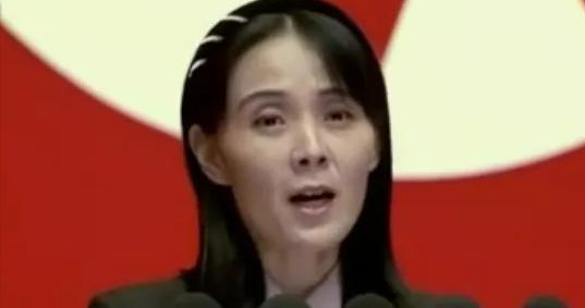 简直是二百五！10月8日，金与正把这纸鉴定词，狠狠甩在韩国政府脸上。 事情起