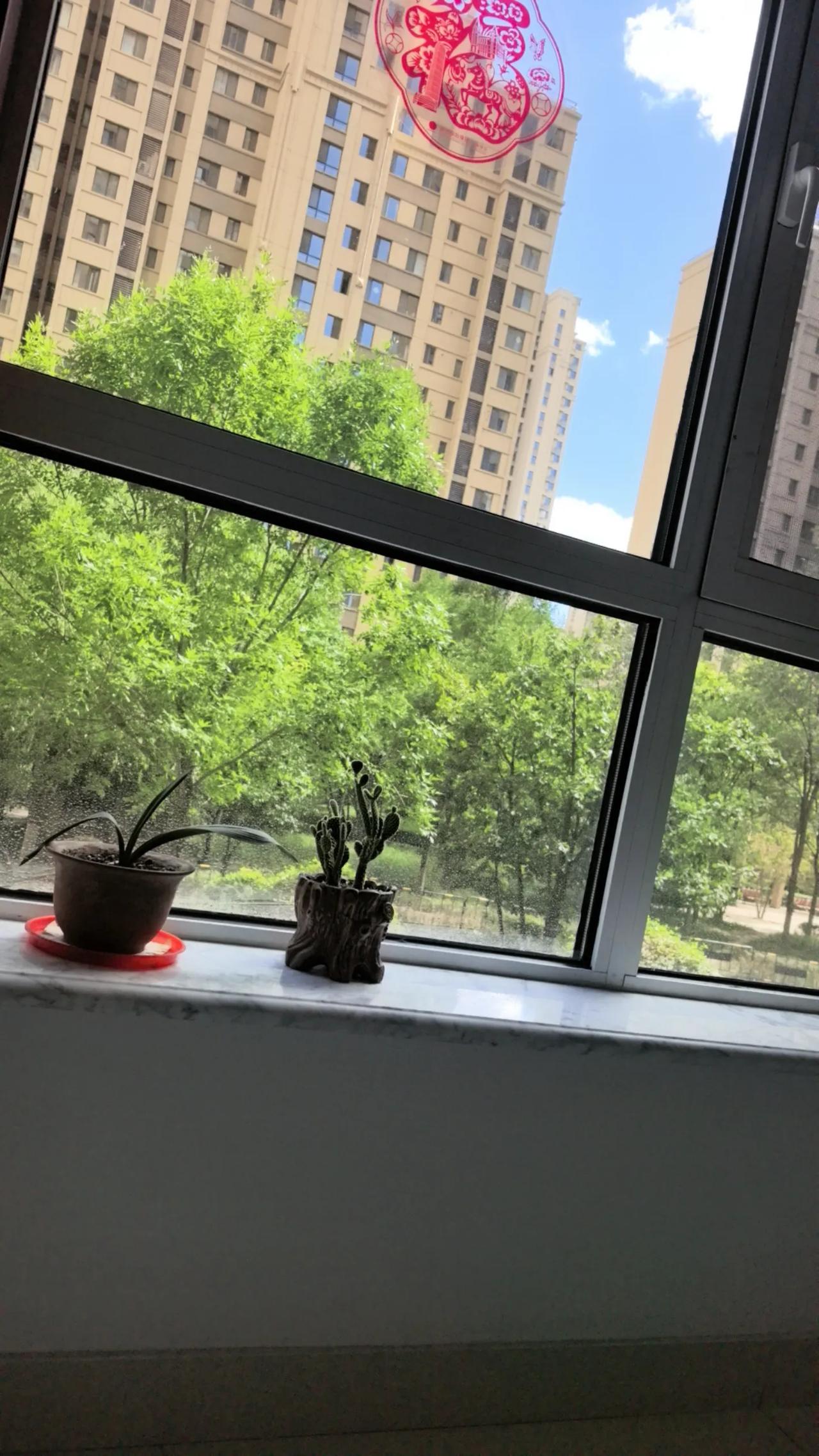 去年加入了“同学群”，在群里没有说过一句话，昨天下午，突然发现“同学群”已经解散