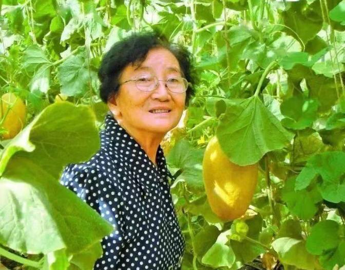 “瓜可以吃，瓜籽不能丢！”1984年，有位领导到新疆鄯善视察，觉得瓜味道不错就带