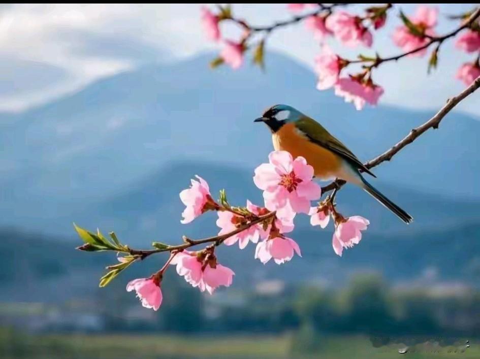 现在想考研究生比过去难多了，原来那个孩子毕业之后，想考个研究生几乎是都能考上吧。