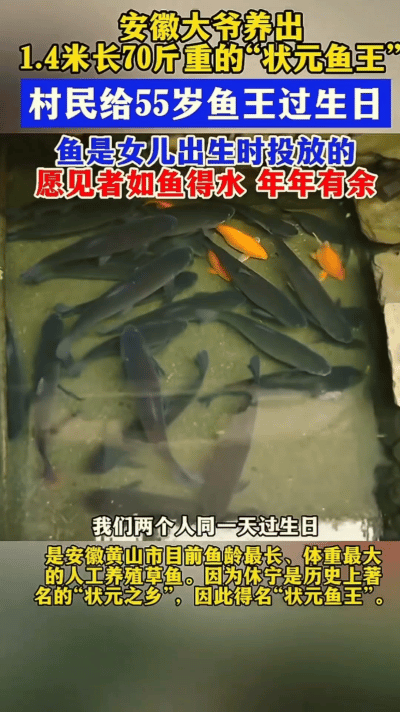 安徽，一老人为了保佑刚出生的女儿，养了一条鱼，结果女儿今年55岁了，这条鱼依然健