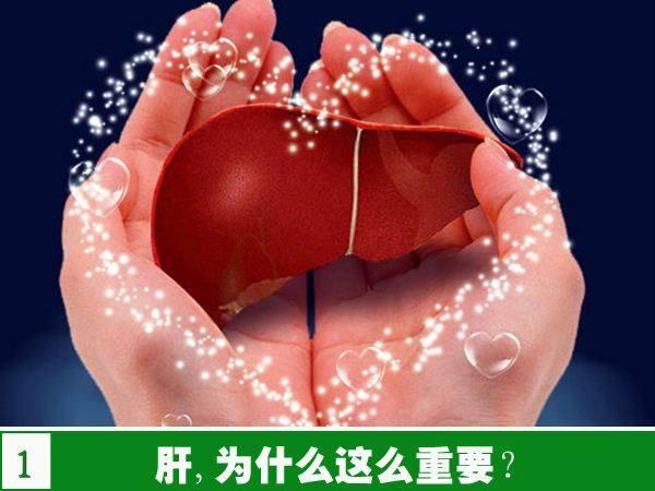 这3种食材被称为肝病最大的克星, 拿来泡水喝, 轻松祛除肝脏毒素!