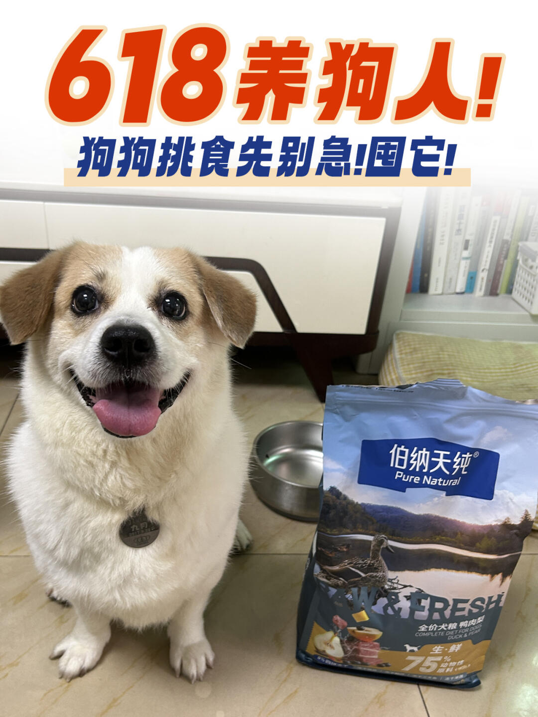 618抄作业｜挑食小狗连续光盘一个月的真相