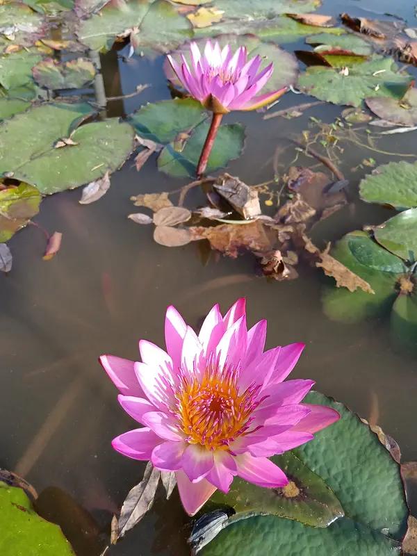 人在世间最大的福报，我觉得一是忍辱，二是孝顺父母。遇到被误解、被冤枉的情况，很